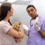 Médecin vétérinaire : être au chevet des animaux